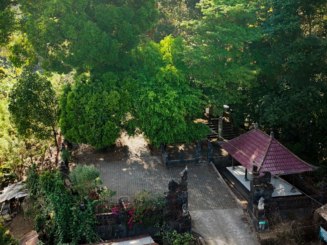 pura malen